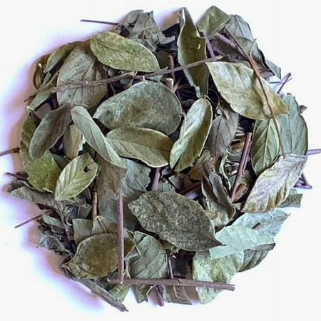 NY SPICE SHOP Jamaican Herb Leaves - 08 Ounce - Strong Back Herb - Whole Leaves