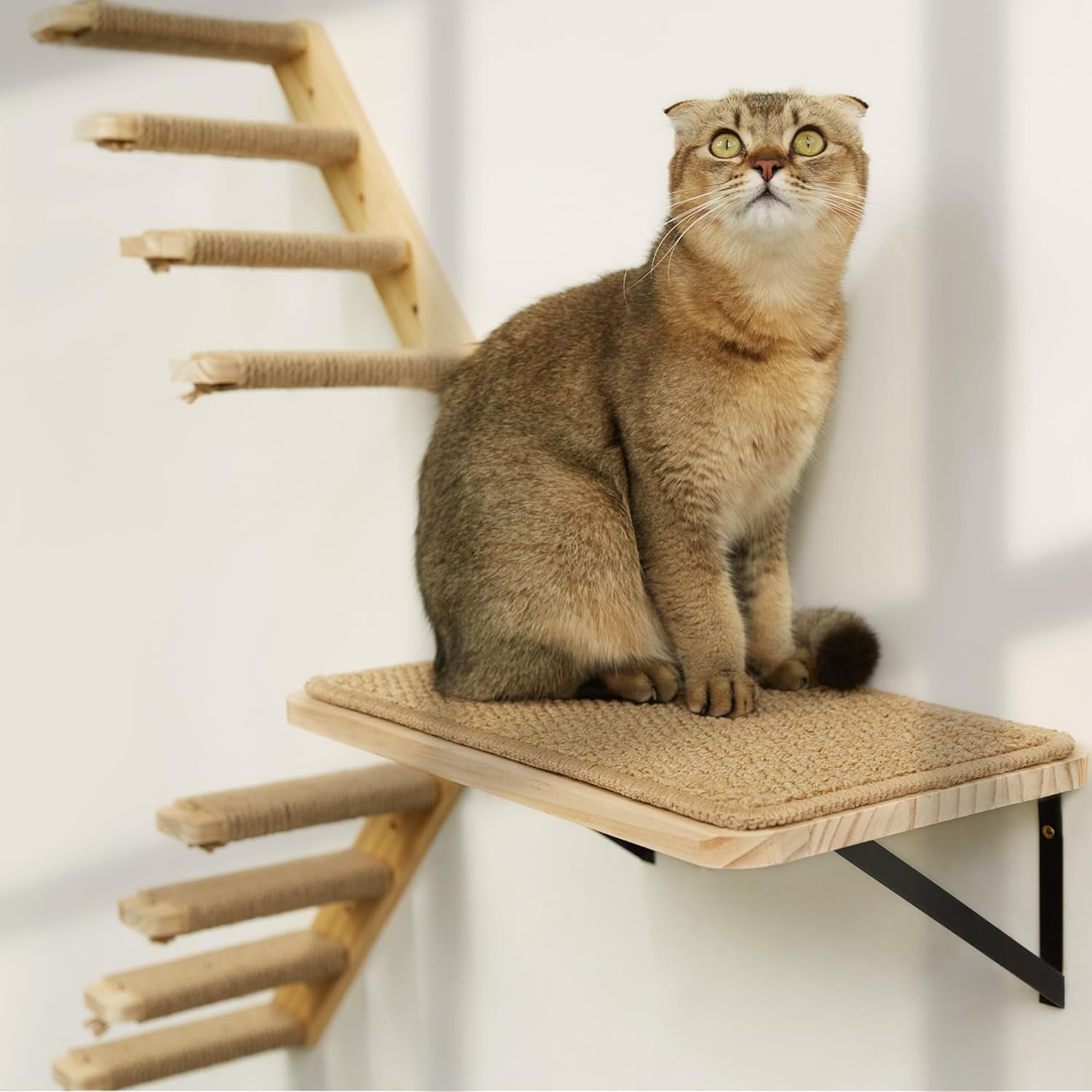 Stair Railing Cat Scratching Stairs Strong Cat Shelves Stairs For Wall  Mounted, 1P Cat Shelf& 2PCS