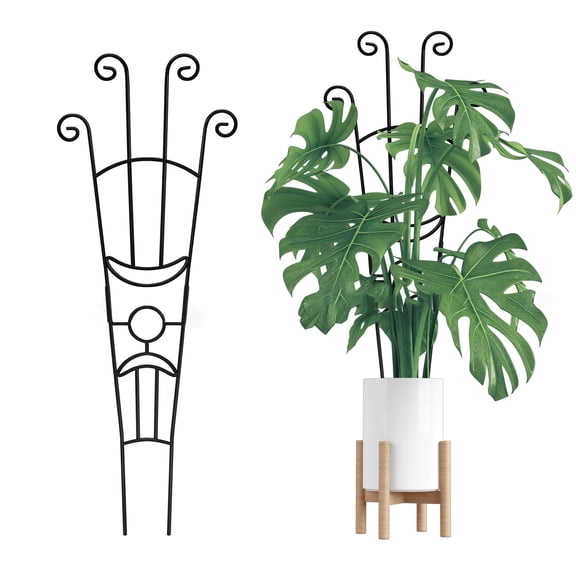 Strong Metal Plant Assist Structure With Extendable Plan Space Saving Vertical Growth Answer 2 Divisions