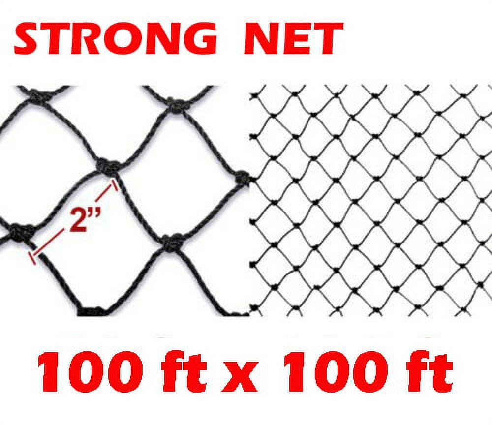 Strong Nylon 100ft x 100ft Garden Netting 2-Inch Mesh Anti Bird Poultry Netting for Fruit Trees Used As Bird Netting for Chicken Coop, Plant Netting, Tree Protectors, Aviary Netting