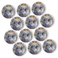 thumbnail image 1 of Strong Refrigerator Magnet Fridge Sticker, Gorgeous Pattern - Adorned Cat 12Pcs Beautiful Photo Decorative Magnet Set, Small Round Crystal Glass Craftwork for Refrigerator Decor, 1 of 4