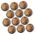 thumbnail image 1 of Strong Refrigerator Magnet Fridge Sticker, Lion With A Thick Mane 12Pcs Beautiful Photo Decorative Magnet Set, Small Round Crystal Glass Craftwork for Refrigerator Decor, 1 of 4