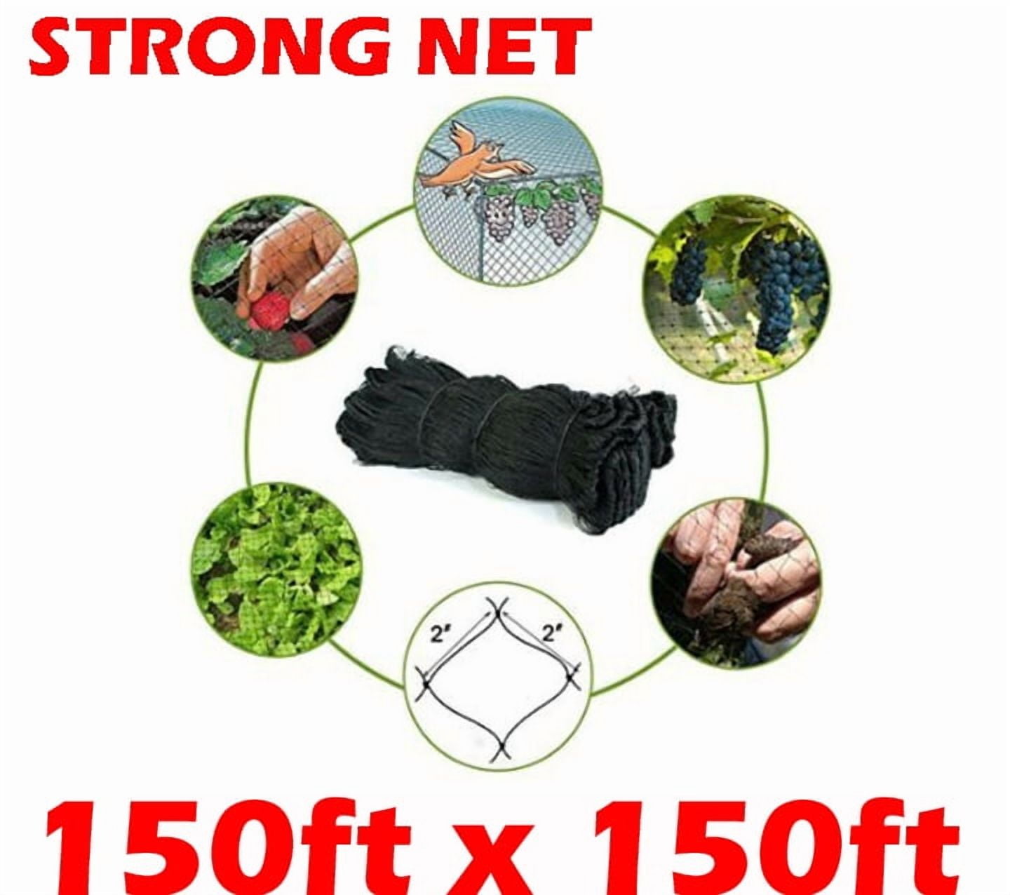 Strong XXX-Large 150ft x 150ft Nylon 2-Inch Mesh Anti Bird Poultry Netting for Fruit Trees Used As Bird Netting for Chicken Coop, Garden Netting, Plant Netting, Tree Protectors, Aviary Netting