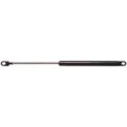 thumbnail image 1 of StrongArm 4688 Lift Support Fits select: 1980-1987 PLYMOUTH HORIZON, 1987 DODGE SHELBY, 1 of 3