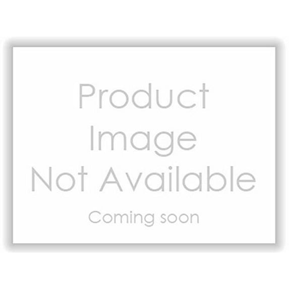 Back Glass Lift Support Strong Arm 4190