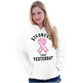 thumbnail image 1 of Stronger Than Yesterday Breast Cancer Women Plus Size Graphic Pullover Hoodie Brisco Brands 5X, 1 of 4
