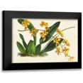 thumbnail image 1 of Stroobant 18x13 Black Modern Framed Museum Art Print Titled - Graceful Orchids III, 1 of 5