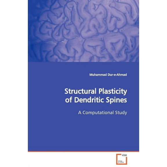 Structural Plasticity of Dendritic Spines (Paperback)