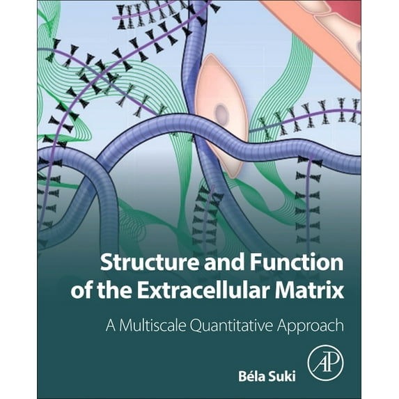 Structure and Function of the Extracellular Matrix: A Multiscale Quantitative Approach, (Paperback)
