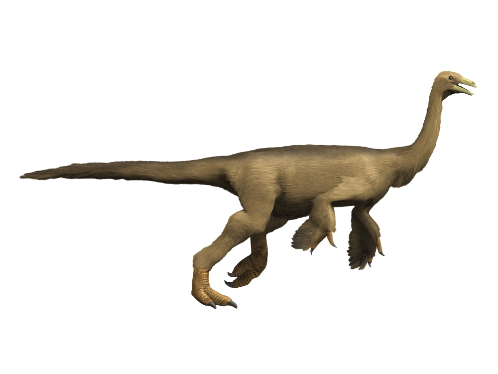 Struthiomimus dinosaur Canvas Art - Nobumichi TamuraStocktrek Images (33 x 25)