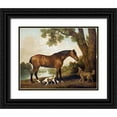 thumbnail image 1 of Stubbs, George 14x12 Black Ornate Wood Framed with Double Matting Museum Art Print Titled - A Bay Hunter, a Springer Spaniel and a Sussex Spaniel, 1782, 1 of 4