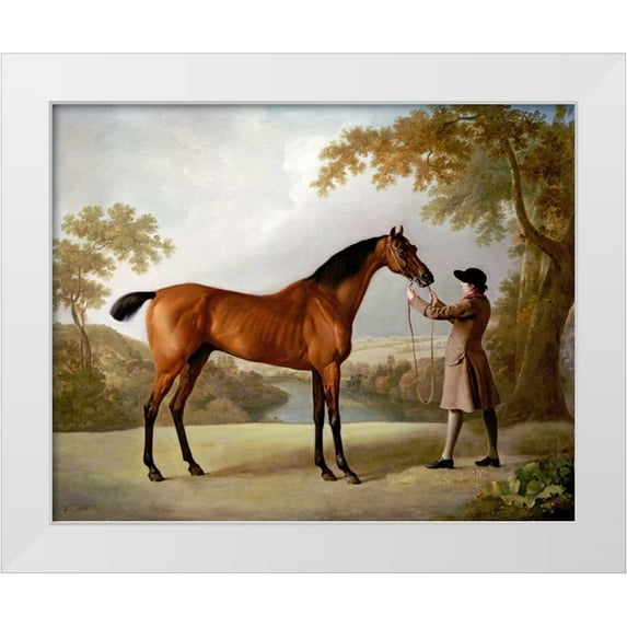 Stubbs, George 32x26 White Modern Wood Framed Museum Art Print Titled - Tristram Shandy