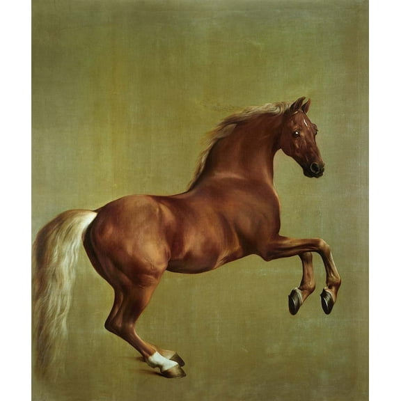 Stubbs "Whistlejacket" (1762) Glossy Poster
