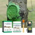 Stucco Patch Exterior Dry Natural Tree Effective Solution Fast Acting