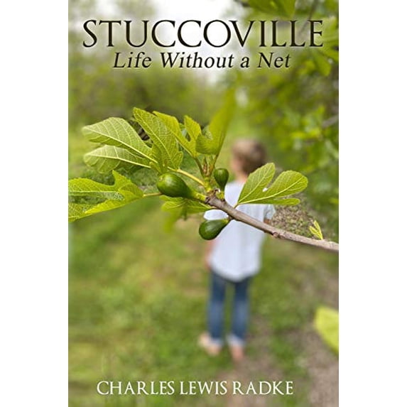 Pre-Owned Stuccoville: Life Without a Net Paperback
