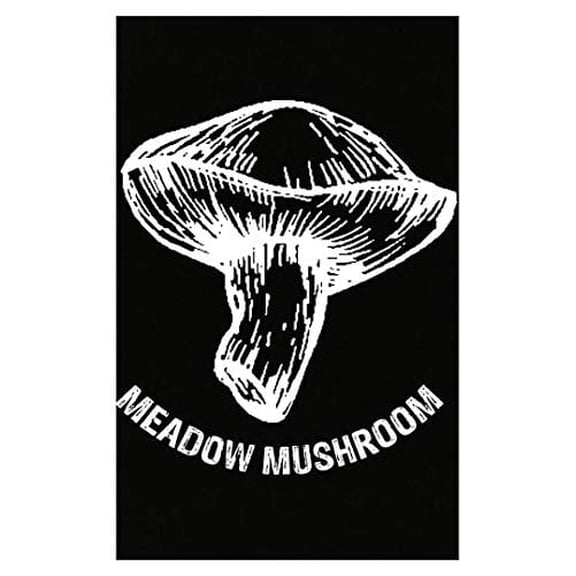 Funny Mushroom Poster - Meadow Fungus - Wall Decor Gift