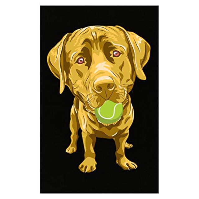 Stuch Strength Labrador Retriever Domestic Dog Breed Pet Canine