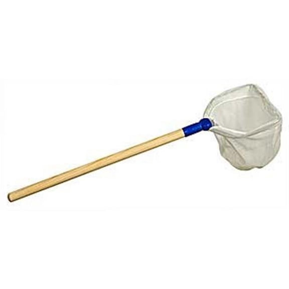Student Insect Net