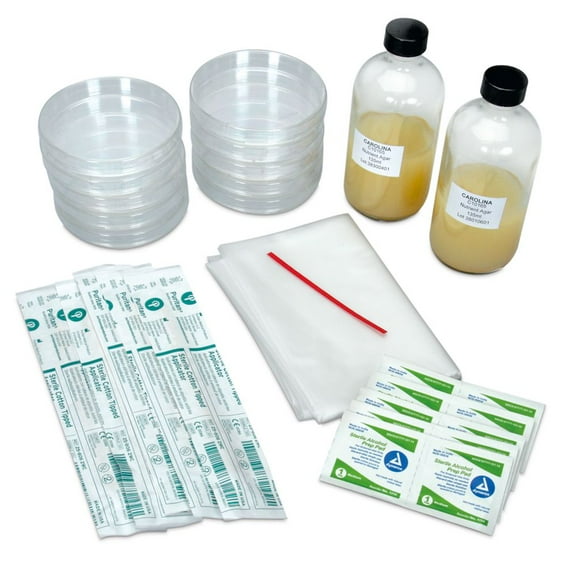 Student Materials Set: Bacteria