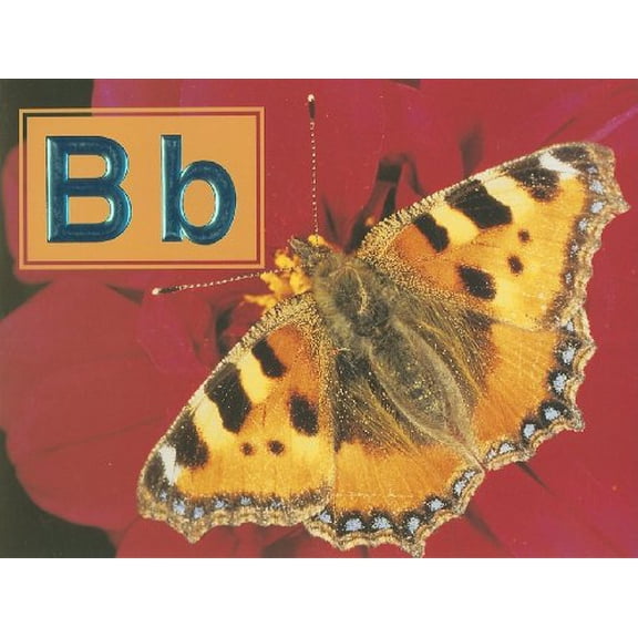 Pre-Owned Bb (Paperback) 0817256016 9780817256012