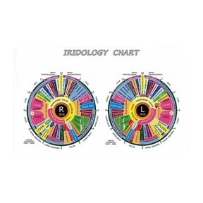 Student Study Resource Complete Iridology Chart Poster Diagnostic Reference for Eye Analysis Canvas Art Herbalist Healer