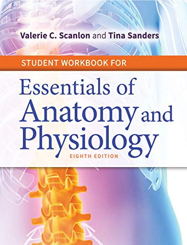 Pre-Owned Student Workbook for Essentials of Anatomy and Physiology Paperback