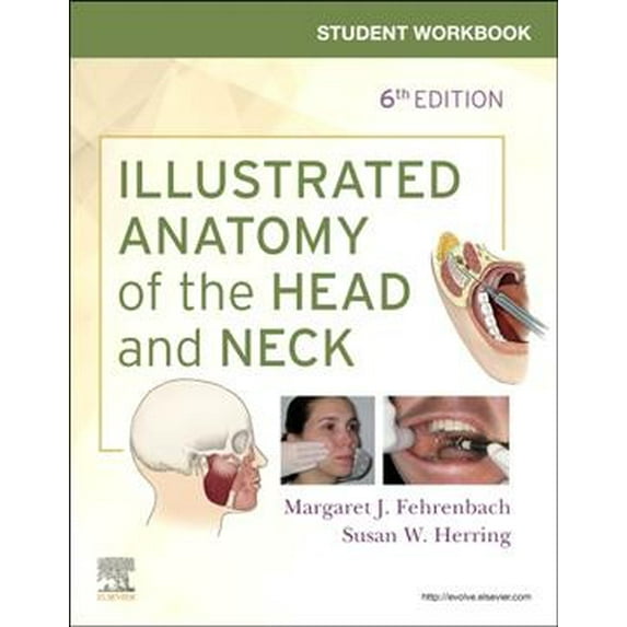 Pre-Owned Student Workbook for Illustrated Anatomy of the Head and Neck