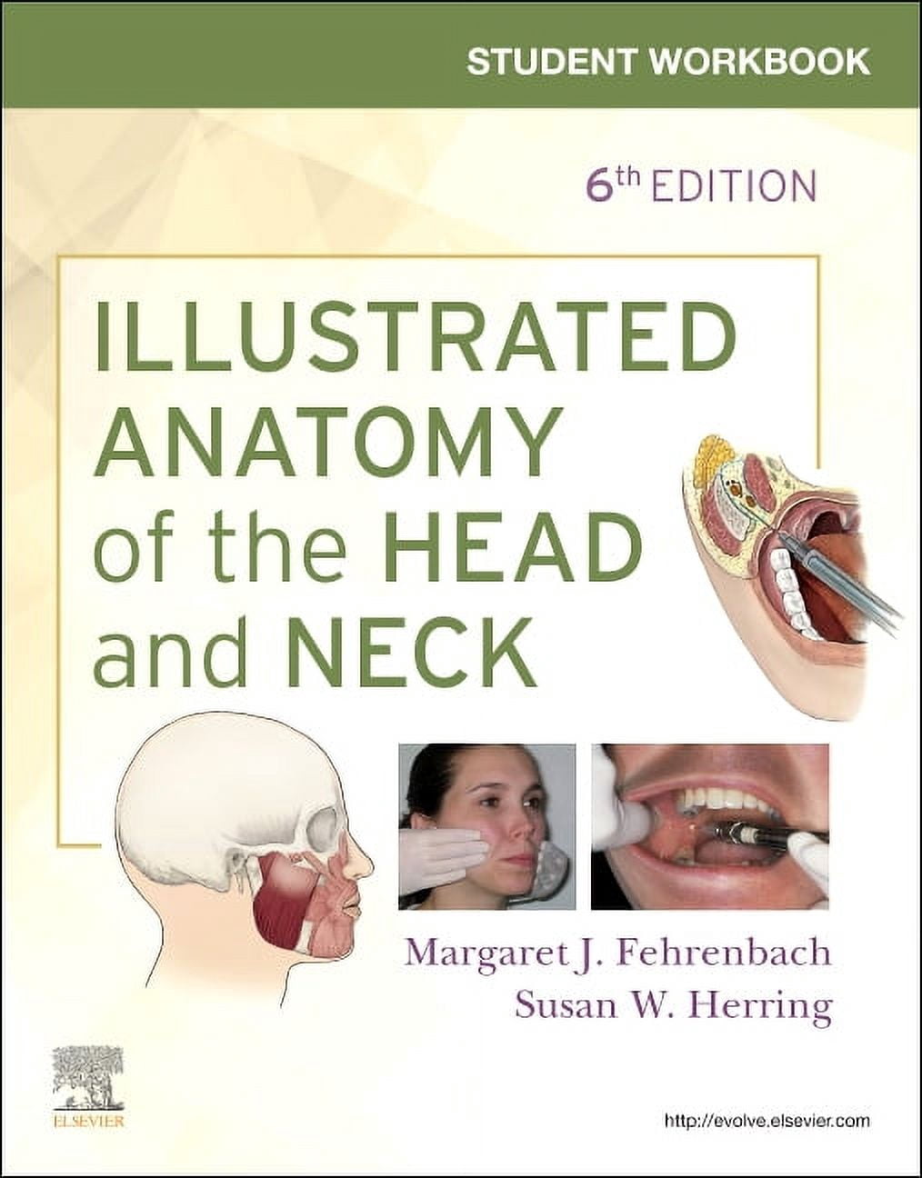 Student Workbook for Illustrated Anatomy of the Head and Neck ...