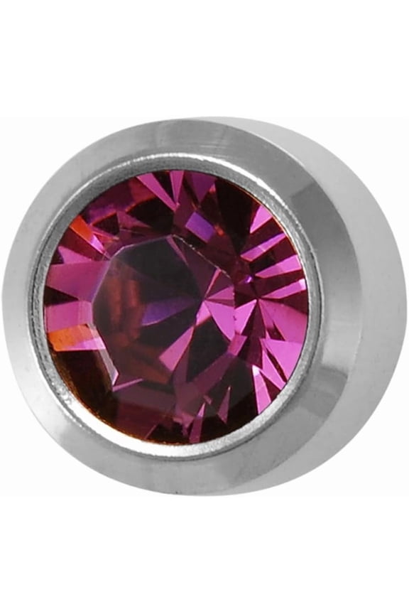 February/Amethyst Regular 4mm Stainless Steel Bezel Setting Ear Piercing Stud Earrings Birthstone