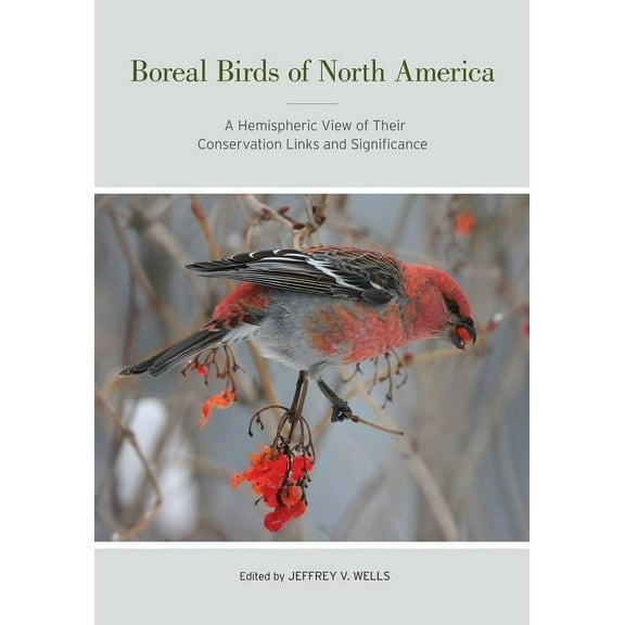 Studies in Avian Biology: Boreal Birds of North America : A Hemispheric View of Their Conservation Links and Significance (Series #41) (Edition 1) (Hardcover)