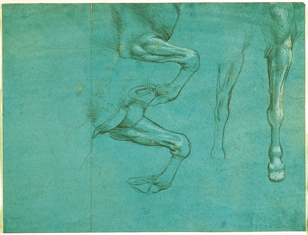 Studies Of Horse Front Legs Canvas Art - (24 x 18)