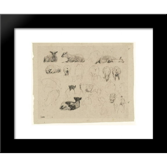 Studies of Sheep 20x24 Framed Art Print by James Charles