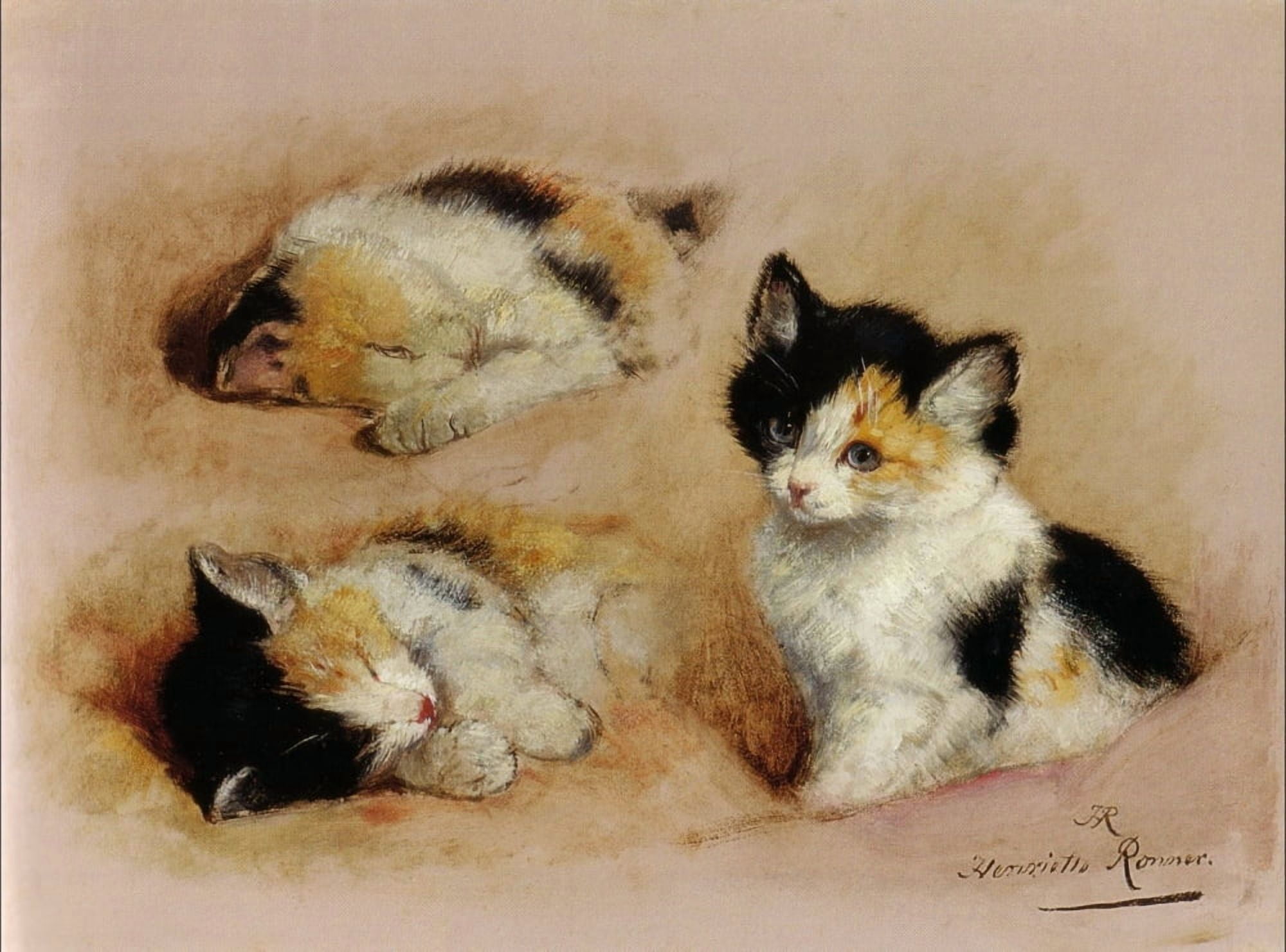 Studies of an awakening kitten Canvas Art - Henriette Ronner-Knip (24 x 36)