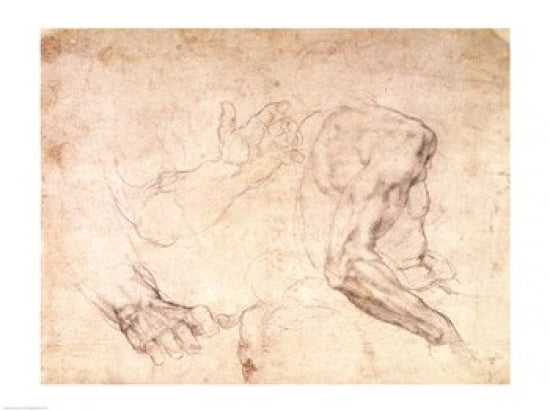 Studies of hands and an arm Canvas Art - Michelangelo Buonarroti (24 x 18)