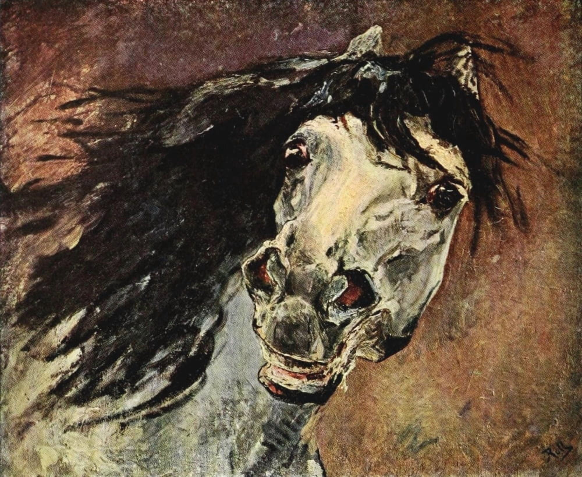 Studio 1910 Tete de Cheval Andalou Canvas Art - Alfred Philippe Roll (24 x 36)