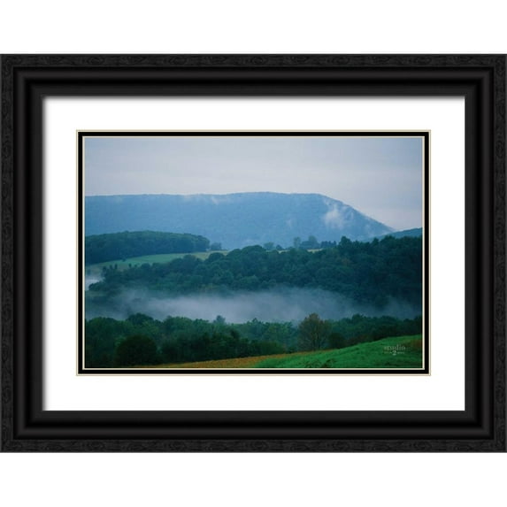 Studio 2 14x11 Black Ornate Wood Framed with Double Matting Museum Art Print Titled - Nestled In II
