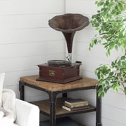 Studio 350 Brown Aluminum Functional Gramophone with Record - 19 x 17 x 27