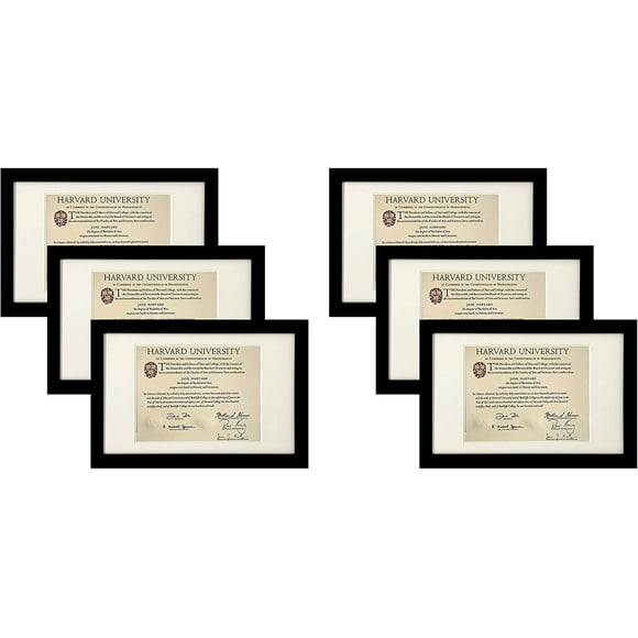 Document Frames 11 X 17 Picture