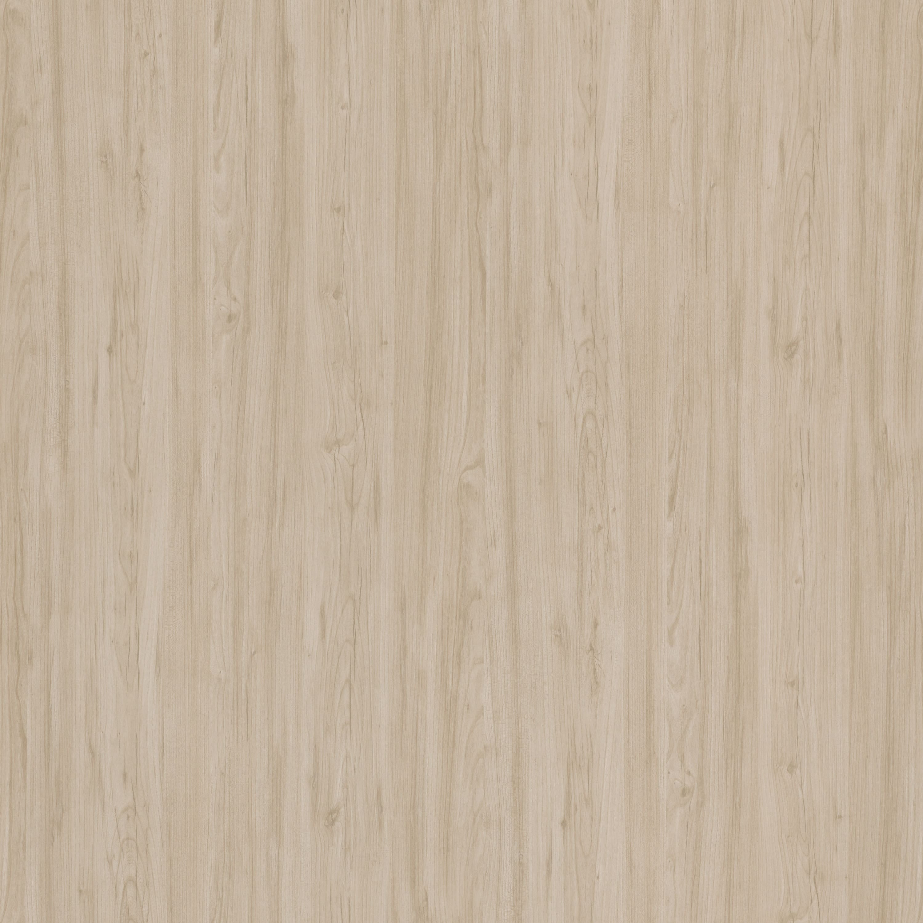 Natural Elm Office Storage Cabinet with Adjustable Shelves