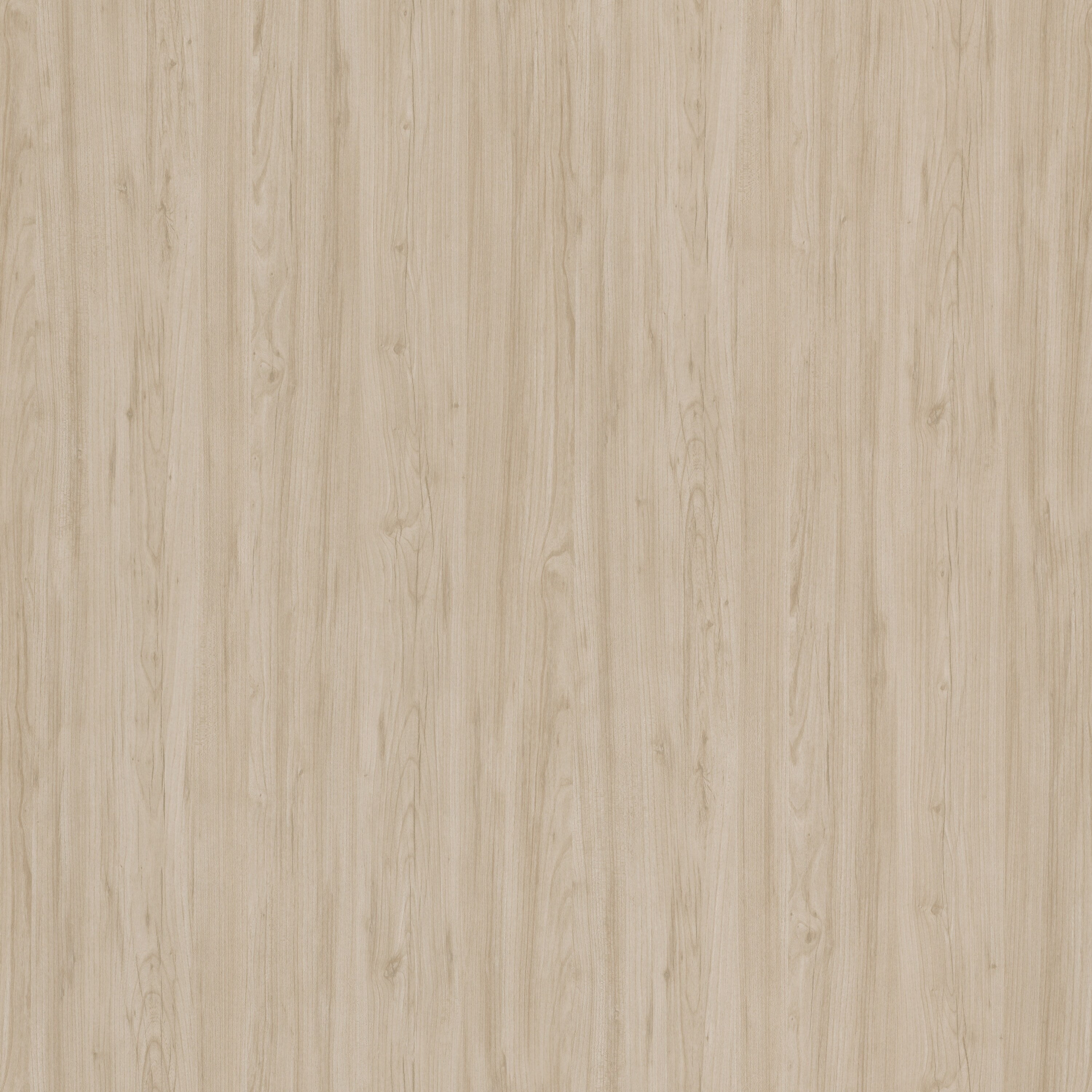 Natural Elm Office Storage Cabinet with Adjustable Shelves