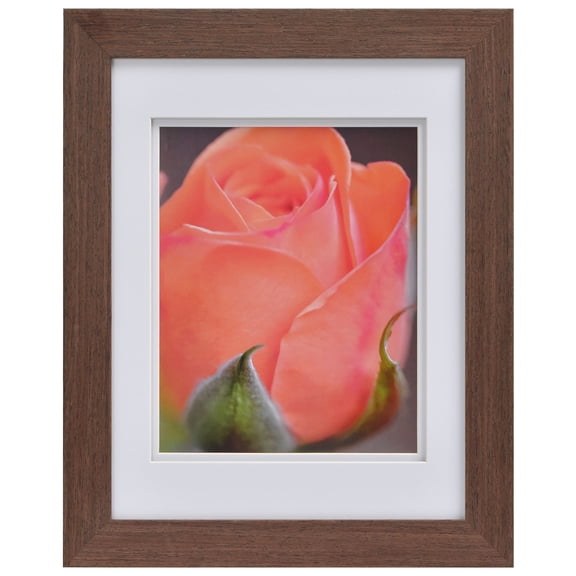 Studio Decor Gallery Medium Brown Frame with Mat - Classic Wall Photo Frame, White Mat, Woodgrain Finish, 11" x 14" / 8" x 10" Display, 1 Pack
