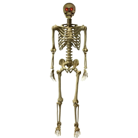 Deluxe 5' Posable Skeleton With LED Eyes Decoration