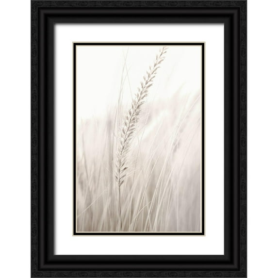 Studio III 17x24 Black Ornate Wood Framed with Double Matting Museum Art Print Titled - Grass