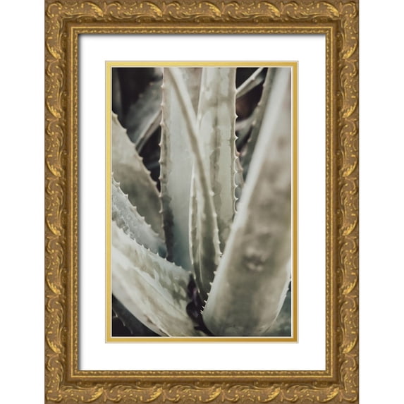 Studio III 23x32 Gold Ornate Wood Framed with Double Matting Museum Art Print Titled - Studio III - Aloe 001