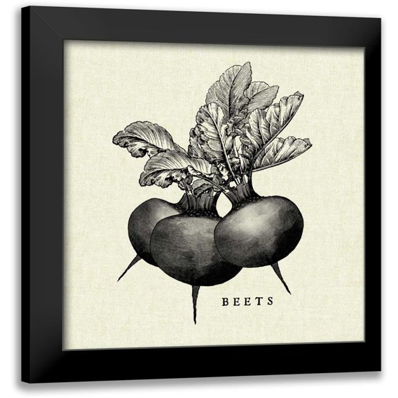 Studio Mousseau 12x12 Black Modern Framed Museum Art Print Titled - Linen Vegetable BW Sketch Beets