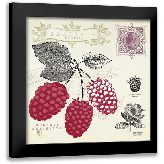 Studio Mousseau 12x12 Black Modern Framed Museum Art Print Titled - Raspberry Notes