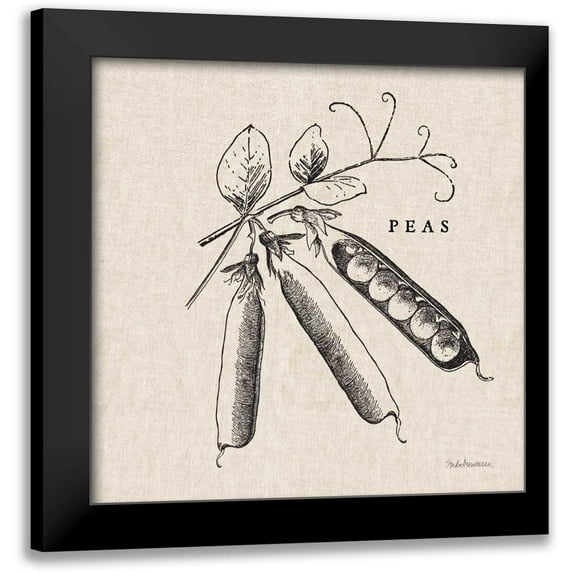Studio Mousseau 15x15 Black Modern Framed Museum Art Print Titled - Burlap Vegetable BW Sketch Peas