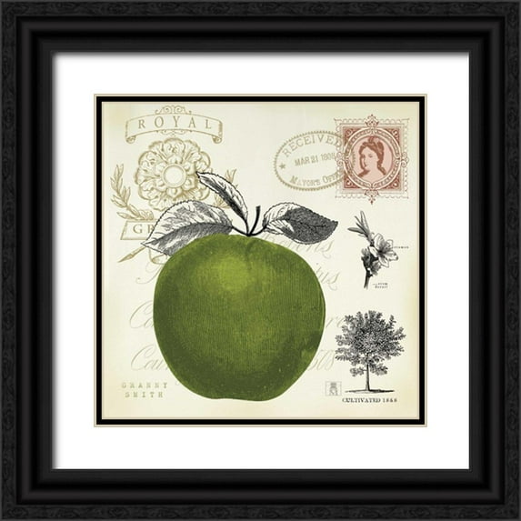 Studio Mousseau 15x15 Black Ornate Wood Framed with Double Matting Museum Art Print Titled - Apple Notes