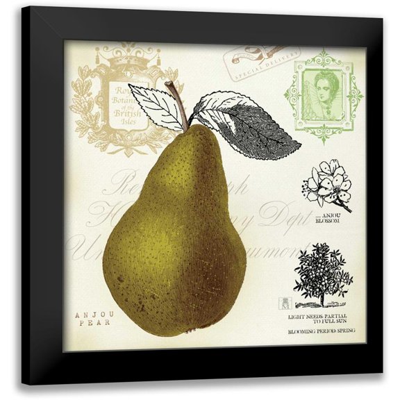 Studio Mousseau 20x20 Black Modern Framed Museum Art Print Titled - Pear Notes