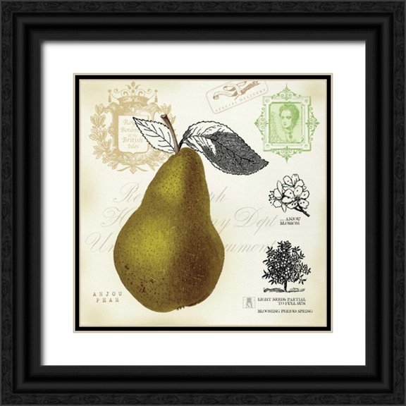 Studio Mousseau 20x20 Black Ornate Wood Framed with Double Matting Museum Art Print Titled - Pear Notes